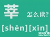 莘莘学子的读音shenshen还是xinxin？